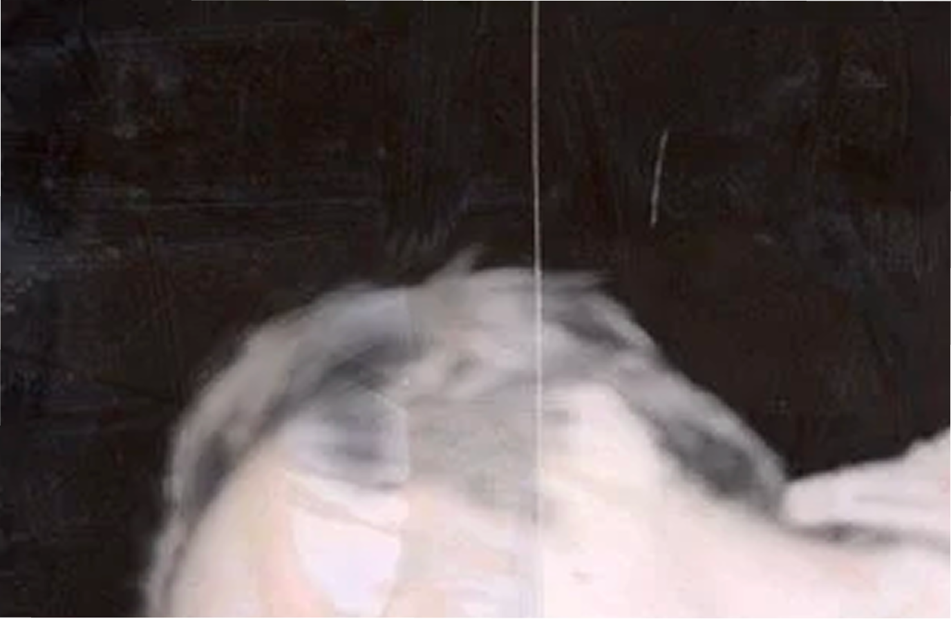Dark Room Trash abstract photographic image